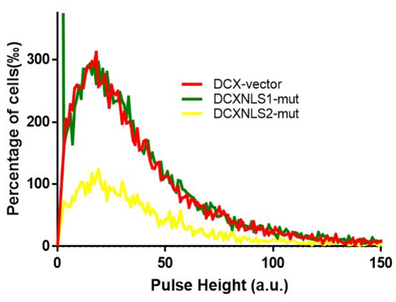 Pulse shape analysis of U251MG cells expressing DCX mutants.jpg